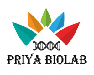 priya-bolab-logo-copy-300x241
